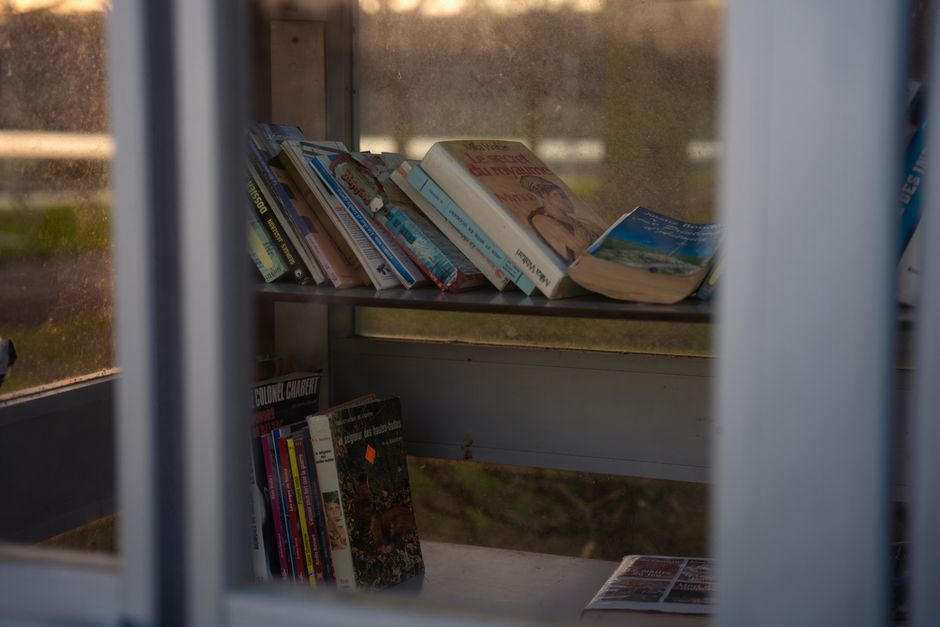 A collection of books displayed on a sunlit bookshelf inside a glass enclosure.