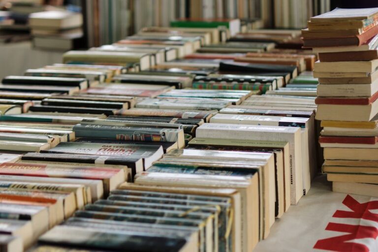 Wide view of numerous books neatly arranged at a book market, showcasing variety and abundance.